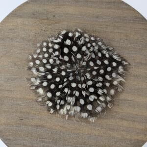 Feather Hair Clip Handmade Brown White Snap Barrette Guinea Fowl Polka Dot
